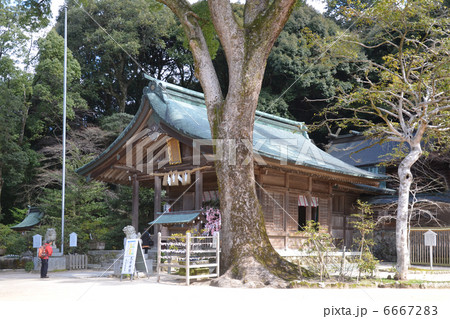竈門神社の拝殿 竈門神社の拝殿 6667283