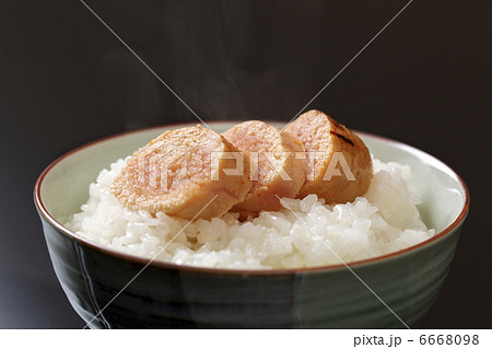 明太子ごはん 6668098