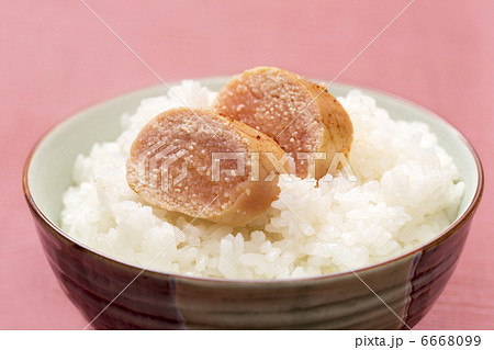 明太子ごはん 6668099