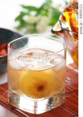 梅酒 梅酒 6669121