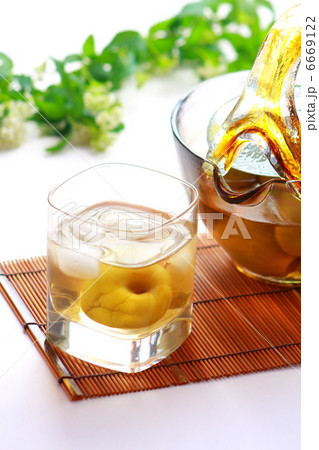 梅酒 梅酒 6669122