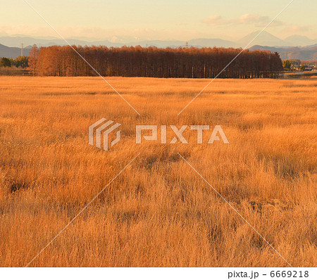 芳原と森 6669218