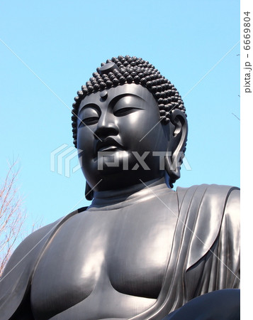 乗蓮寺「東京大仏」 6669804