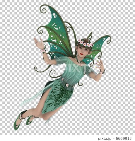 fairy fairy 6669913