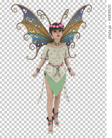 fairy fairy 6669920
