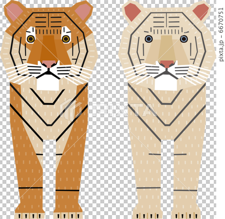 A tiger 6670751