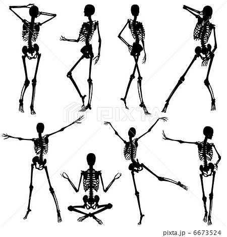Collect Skeleton Silhouettes Stock Illustration Collect Skeleton Silhouettes Stock Illustration