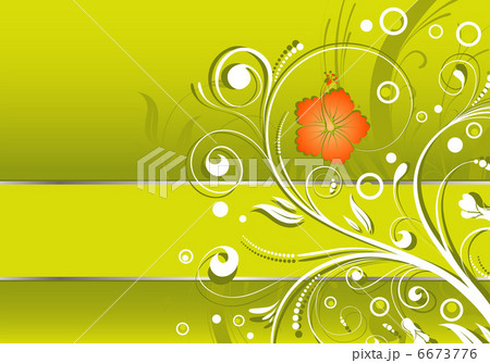Floral frame Floral frame 6673776