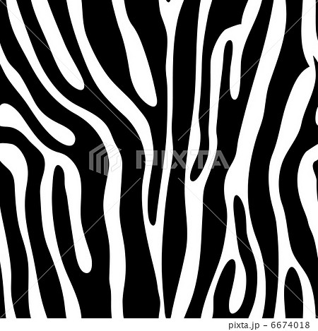 Seamless animal print 6674018