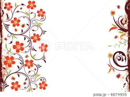 Floral frame 6674950