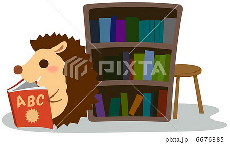 本を読むハリネズミ 6676385