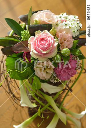 Madam Rose Madam Rose 6676481