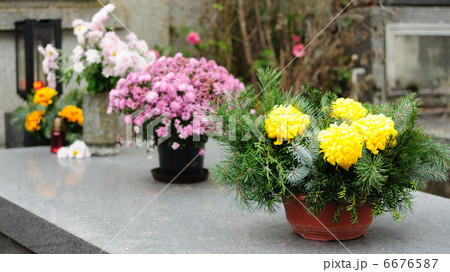 Funeral flowers 6676587
