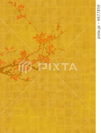 金箔花 金箔花 6677856