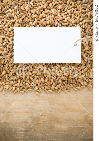 wheat grain and tag price 6679062
