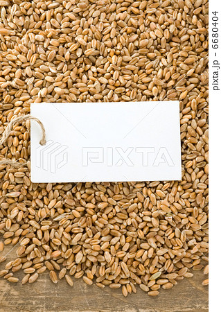 wheat grain on wood texture 6680404