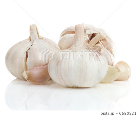 garlic vegetable spices isolated on white 6680521