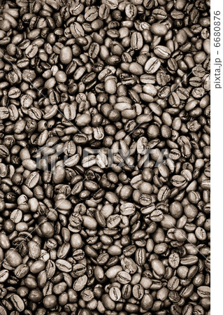 coffee beans on sepia 6680876