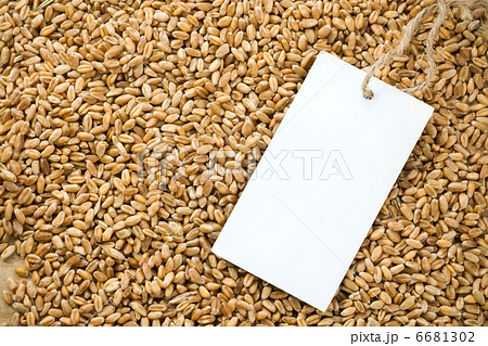 wheat grain and tag price 6681302