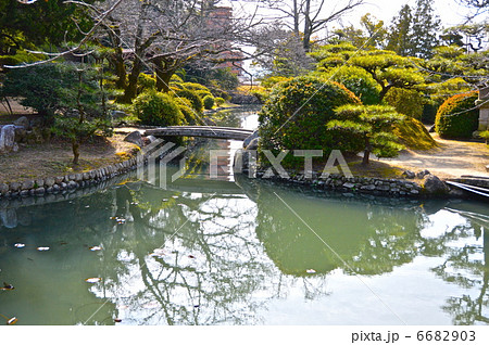湯築城の内堀(西側)（道後公園／愛媛県松山市道後町） 6682903