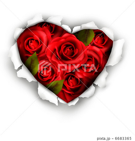 Valentine Heart Card Design. Red roses and ripped paper heart. V 6683365