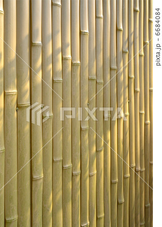 垣根 垣根 6684084