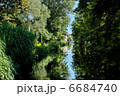 水面に映る森 6684740