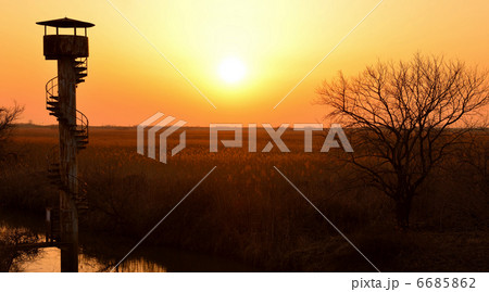 夕暮れの渡良瀬 6685862