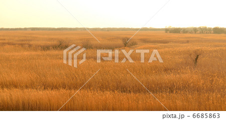 夕暮れの渡良瀬 6685863