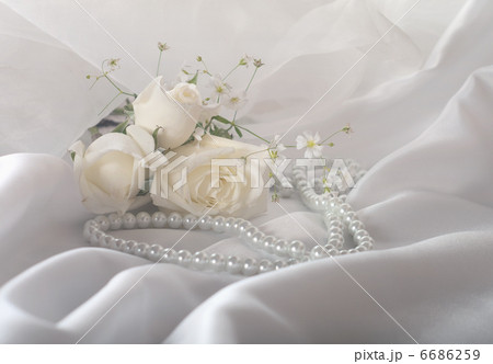 background background 6686259