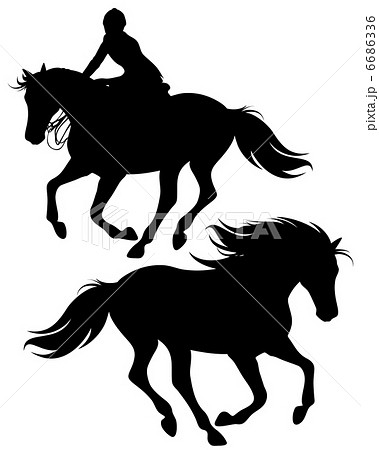 fine silhouettes of horseman riding a horse and wild stallion  6686336