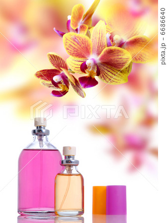 Perfume and yellow orchid Perfume and yellow orchid 6686640