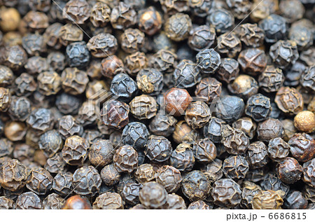 黒胡椒　一面 6686815