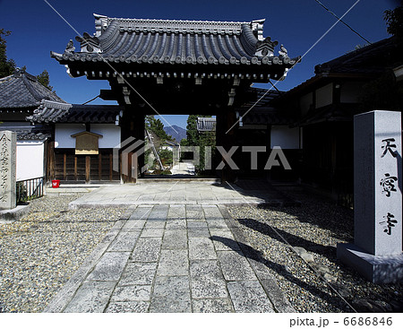 天寧寺 天寧寺 6686846