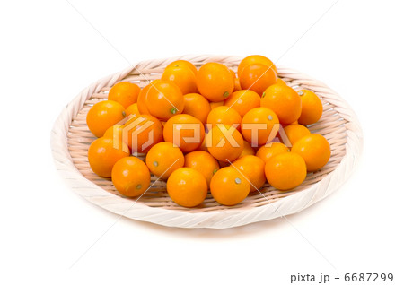 キンカン キンカン 6687299