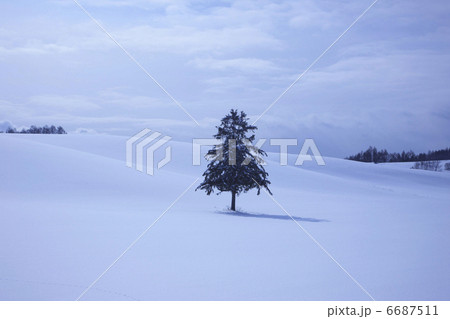 雪原の丘 雪原の丘 6687511