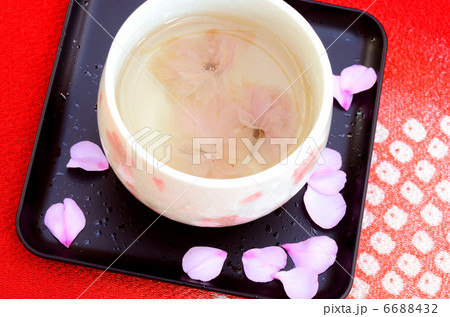 桜茶 6688432