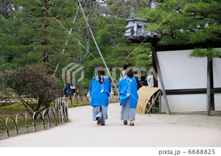 新撰組 新撰組 6688825