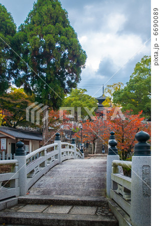 くろ谷 金戒光明寺 極楽橋 くろ谷 金戒光明寺 極楽橋 6690089
