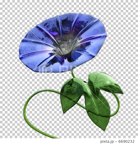 Glass morning glory (blue) Glass morning glory (blue) 6690232