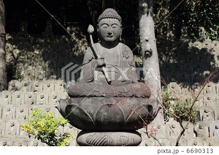 大円寺石仏群 大円寺石仏群 6690313