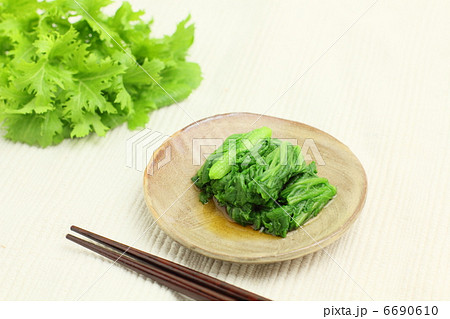 わさび菜 お浸し 和食 わさび菜 お浸し 和食 6690610