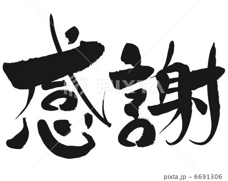 感謝 6691306