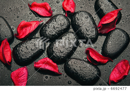 background spa. black stones and red petals with water droplets 6692477