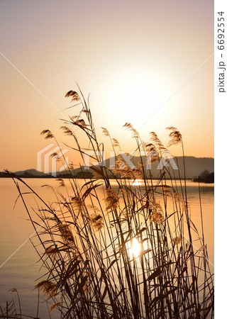 琵琶湖夕景 6692554