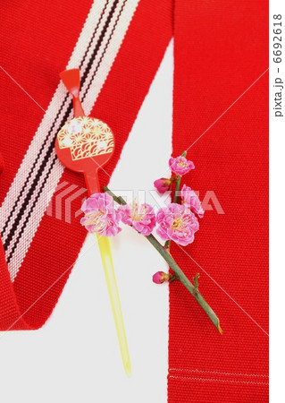 女の子のお祝いイメージ・紅梅と可愛い笄全身・帯に白バック縦位置 女の子のお祝いイメージ・紅梅と可愛い笄全身・帯に白バック縦位置 6692618