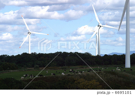 牧場の風車 6695101