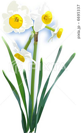 美しい花の画像 元の2月 花 イラスト 無料