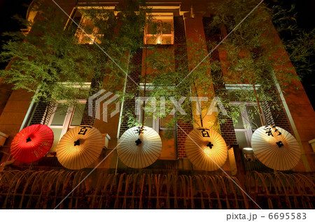 百華百彩 6695583