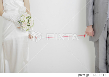 ブライダル 6695816